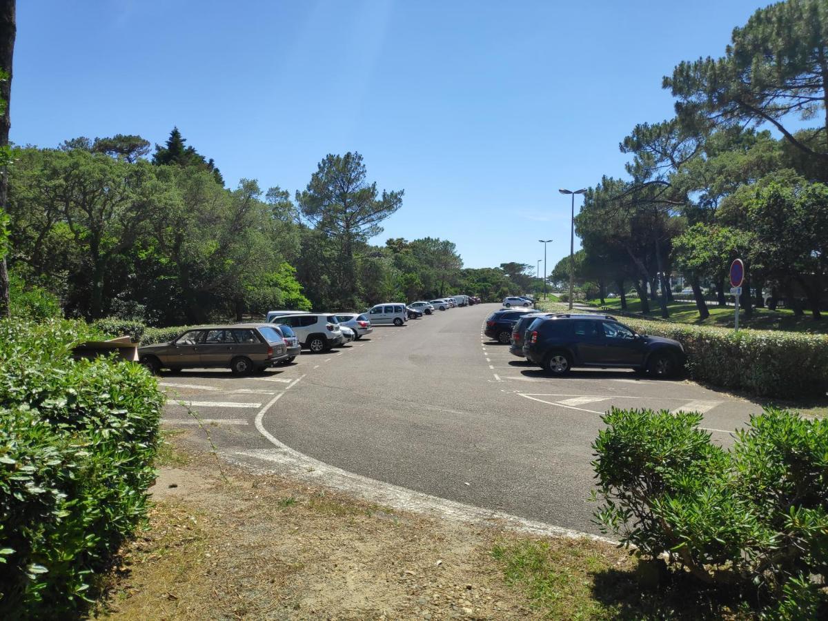 Appt Seignosse Le Penon - Plages Commerces A Pied Eksteriør billede